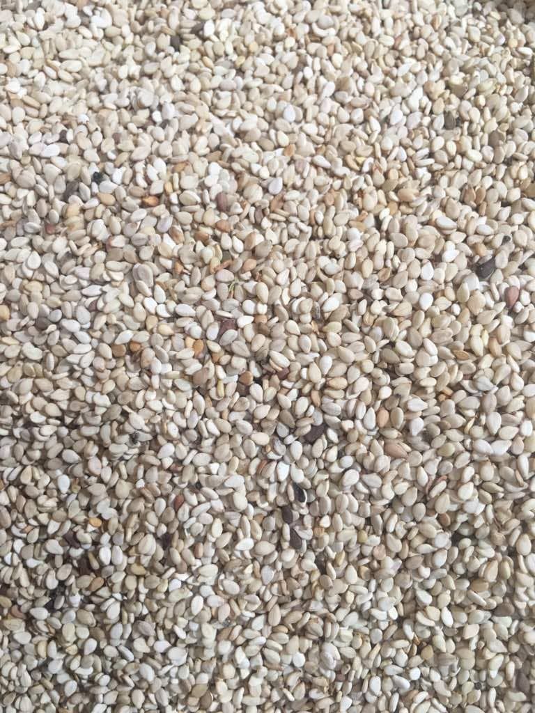 Product image - Whitish, Ethiopian origin Sesame seeds
